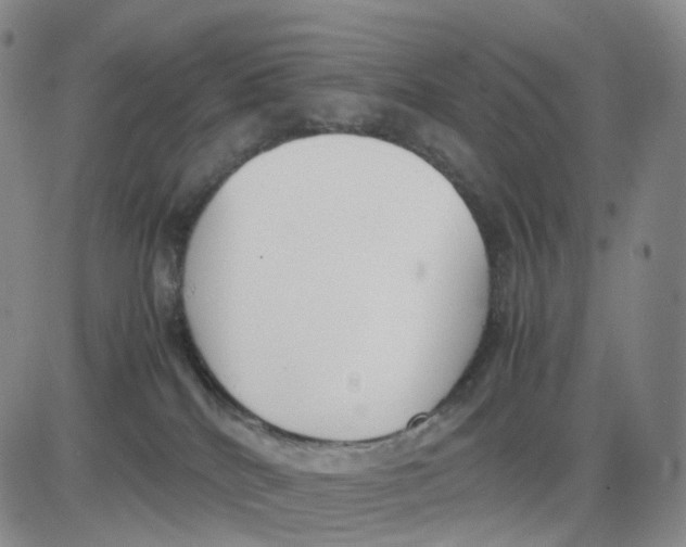 X0000083010040200702231823