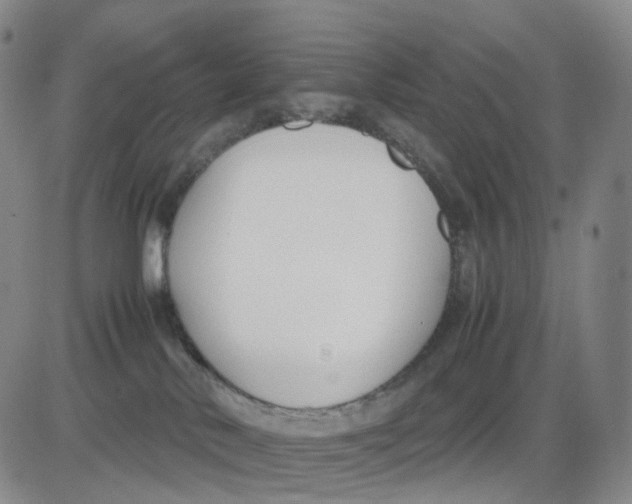 X0000083010042200702231823