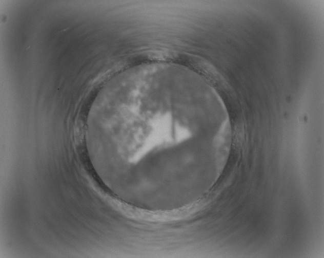 X0000083010043200702231823