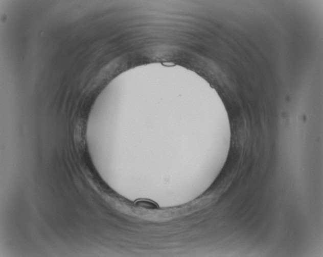 X0000083010044200702231823