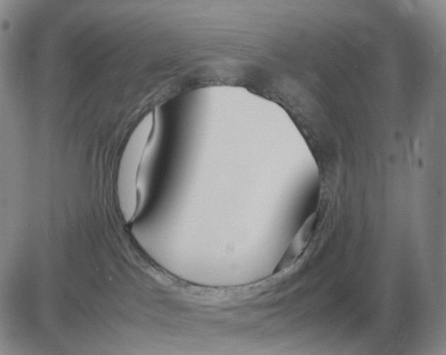 X0000083010045200702231823