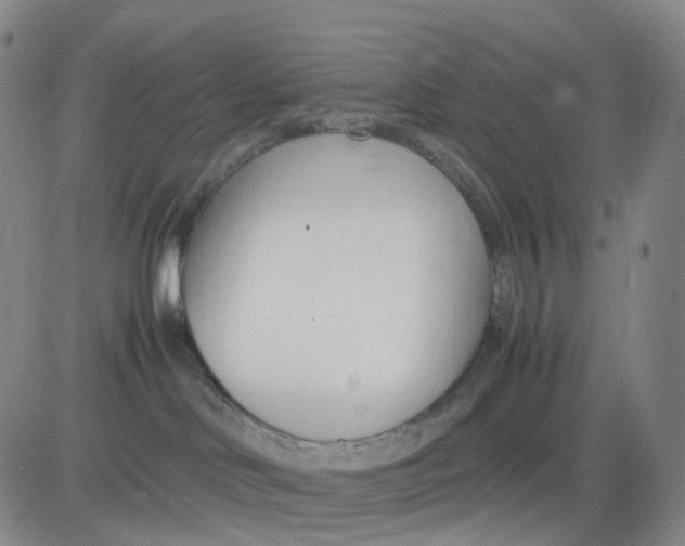 X0000083010046200702231823