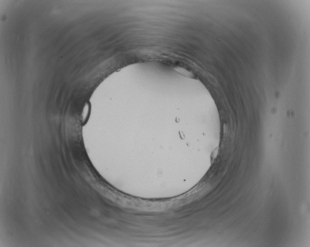 X0000083010048200702231823