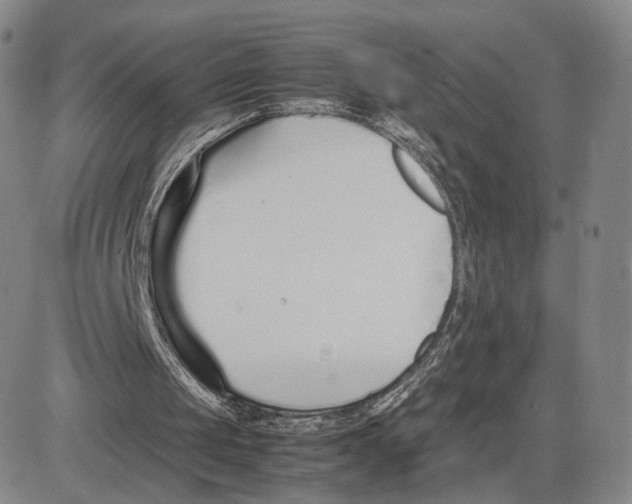 X0000083010049200702231823