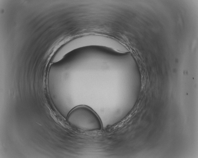 X0000083010050200702231823