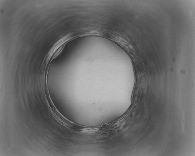 X0000083010051200702231823