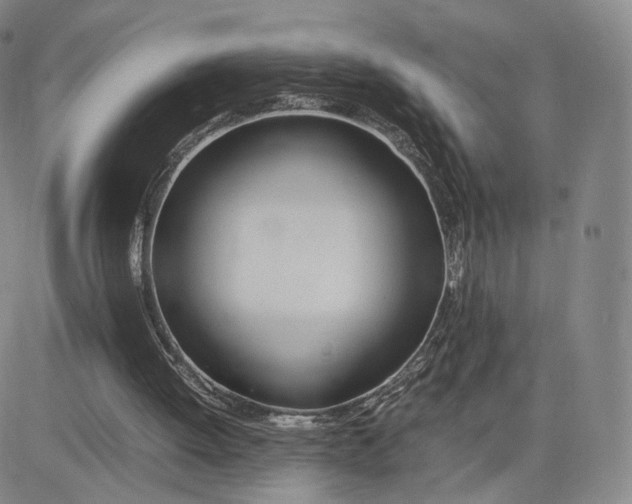 X0000083010052200702231823