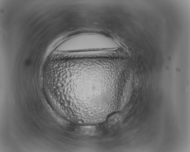 X0000083010053200702231823