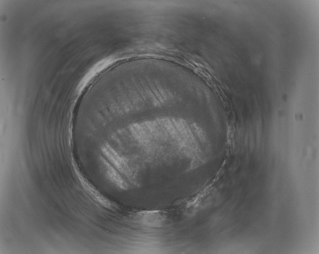 X0000083010054200702231823