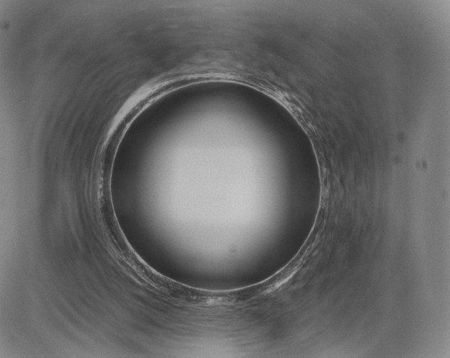 X0000083010056200702231823