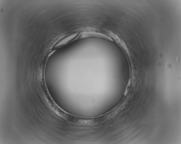 X0000083010057200702231823