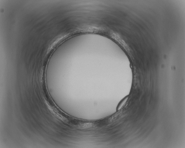 X0000083010058200702231823