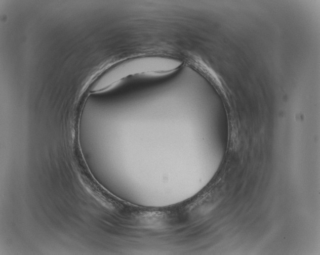 X0000083010059200702231823