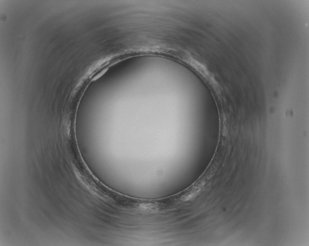 X0000083010060200702231823