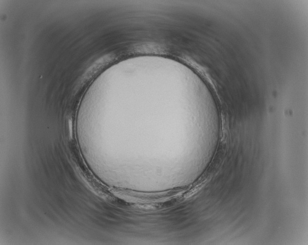 X0000083010061200702231823