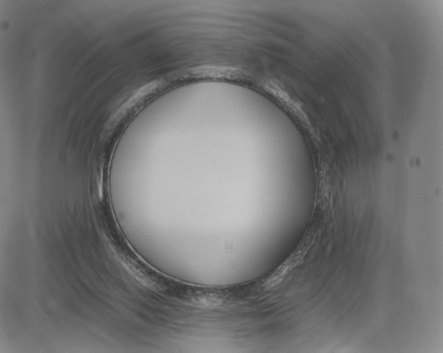 X0000083010062200702231823