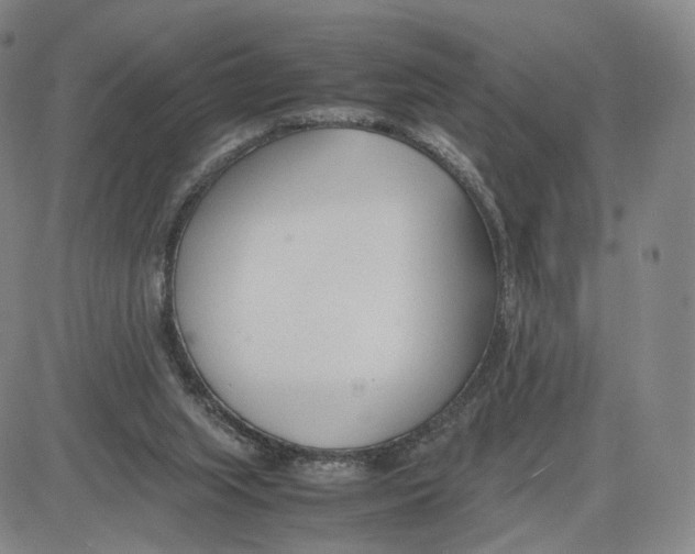 X0000083010063200702231823