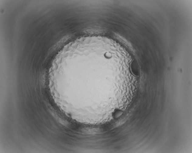 X0000083010065200702231823