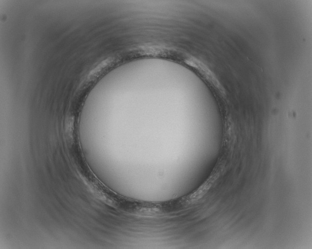 X0000083010066200702231823