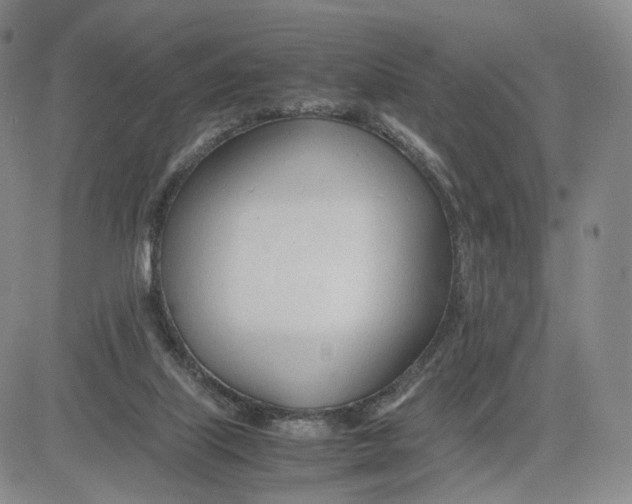 X0000083010067200702231823