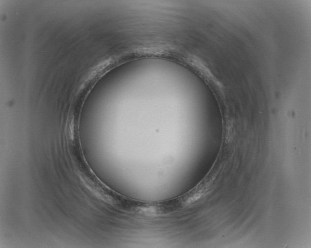 X0000083010068200702231823