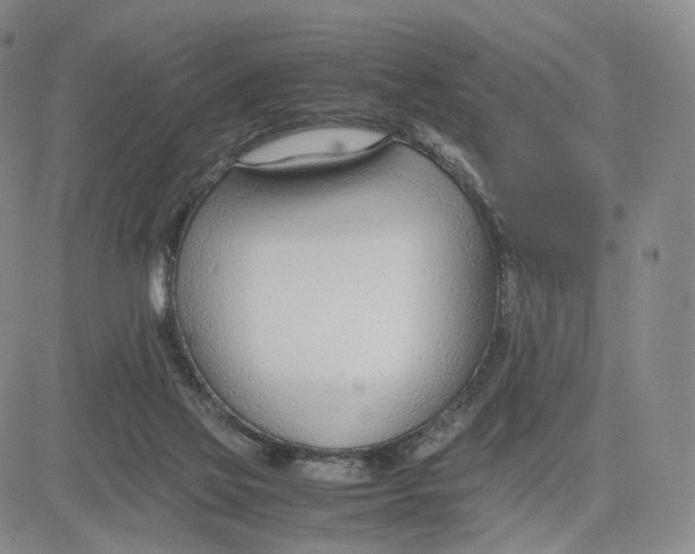 X0000083010069200702231823