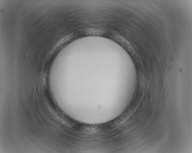 X0000083010071200702231823