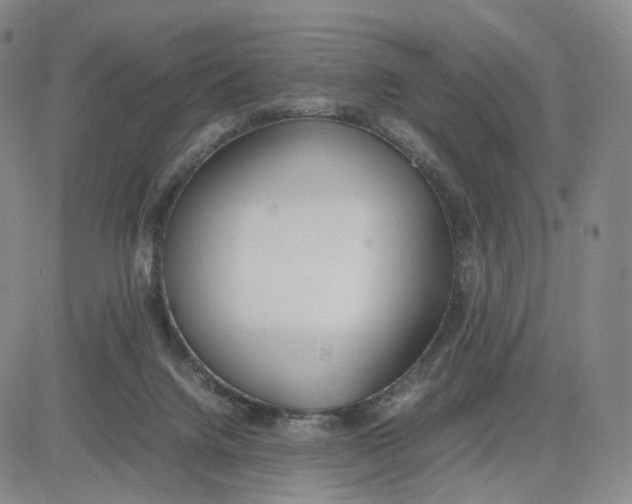 X0000083010072200702231823