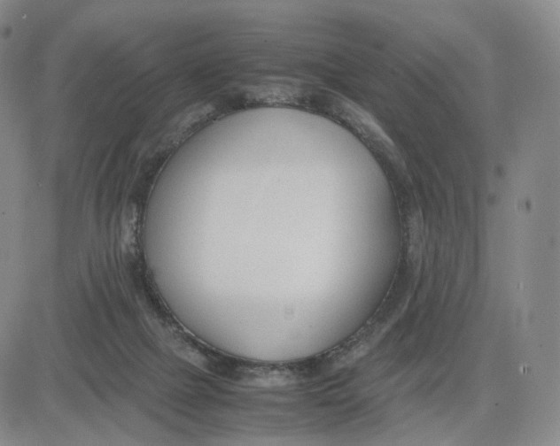 X0000083010073200702231823