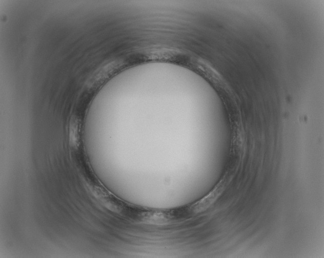 X0000083010074200702231823