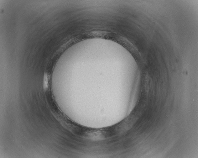 X0000083010075200702231823