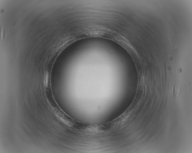 X0000083010076200702231823