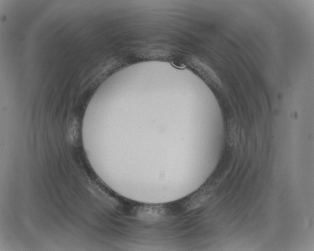 X0000083010077200702231823