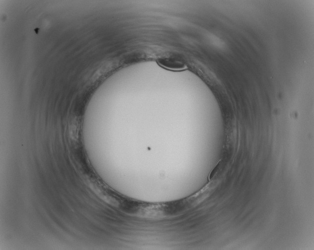 X0000083010078200702231823