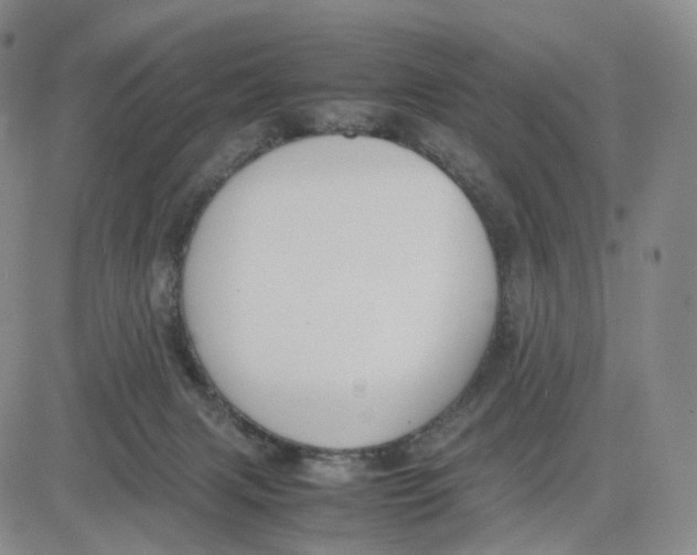 X0000083010079200702231823