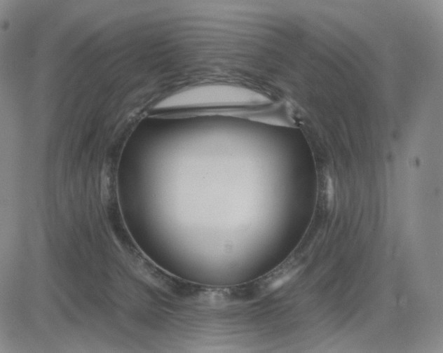 X0000083010080200702231823