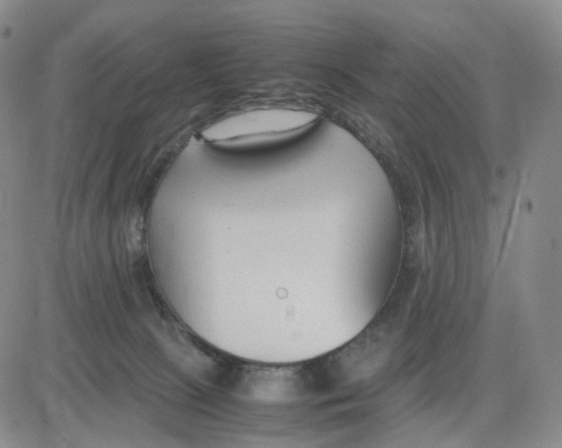 X0000083010081200702231823