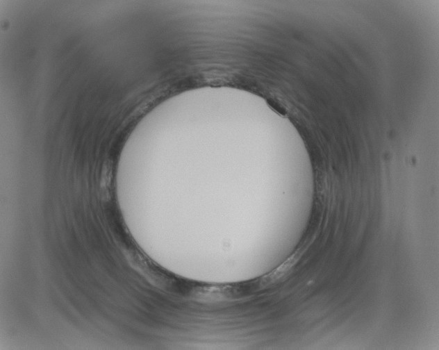 X0000083010082200702231823