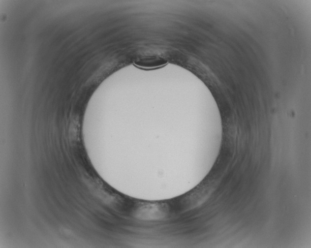 X0000083010083200702231823