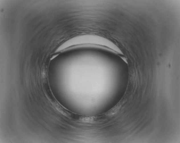 X0000083010084200702231823