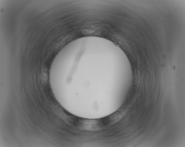 X0000083010085200702231823