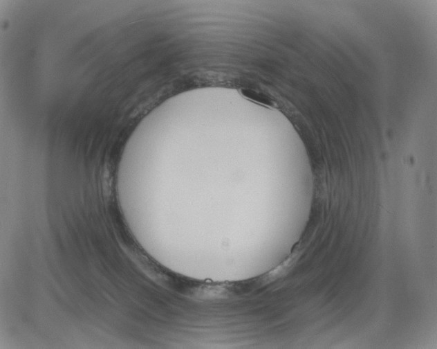 X0000083010086200702231823