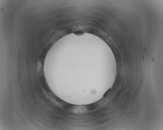 X0000083010087200702231823