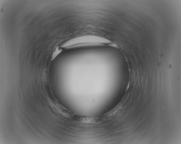 X0000083010088200702231823