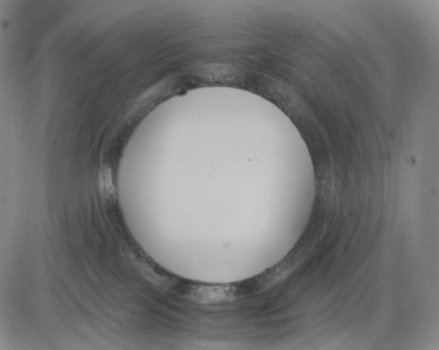 X0000083010089200702231823