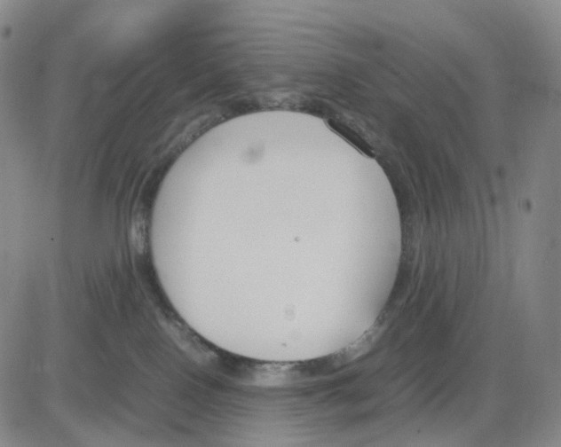 X0000083010090200702231823