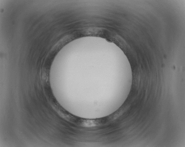 X0000083010091200702231823