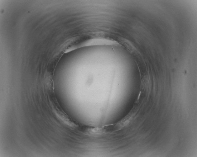 X0000083010092200702231823