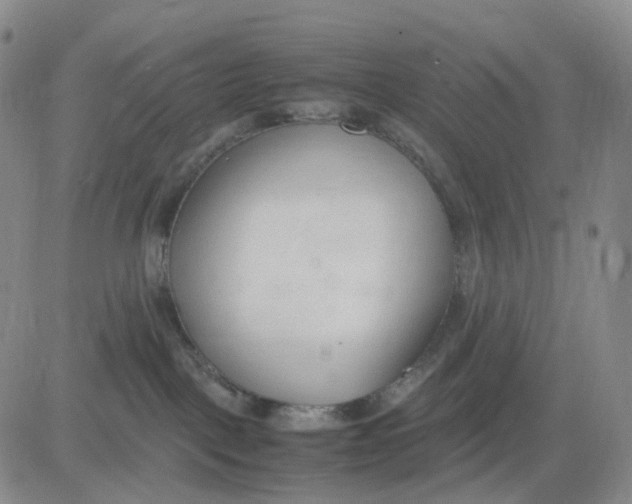 X0000083010093200702231823