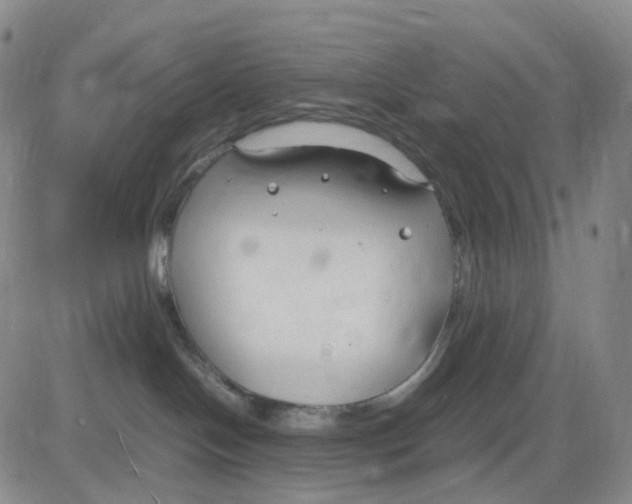 X0000083010094200702231823